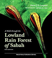 A Walk Through the Lowland Rain Forest of Sabah - Elaine JF Campbell