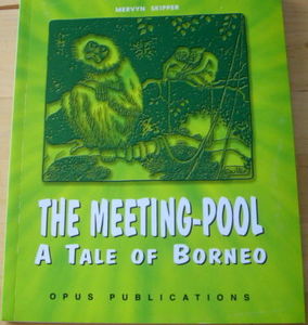 The Meeting Pool: A Tale of Borneo - Mervyn Skipper