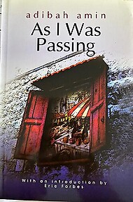 As I Was Passing - Abidah Amin