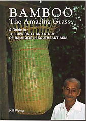 Bamboo: The Amazing Grass - KM Wong