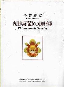 Phalaenopsis Species - Chiba Masaaki