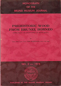 Prehistoric Wood from Brunei, Borneo - Tom Harrisson