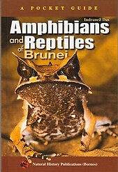 A Pocket Guide: Amphibians and Reptiles of Brunei - Indraneil Das
