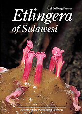 Etlingera of Sulawesi - Axel Dalberg Poulsen