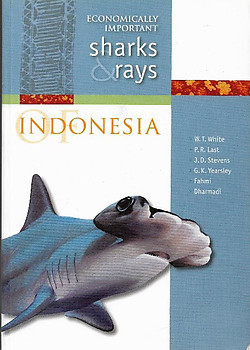Economically Important Sharks and Rays Indonesia - W.T. White, P.R.Last & Others