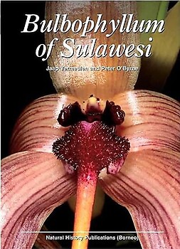 Bulbophyllum of Sulawesi - Jaap Vermeulen & Peter O'Byrne