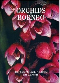 Orchids of Borneo- Volume 1 - CL Chan, A. Lamb, JJ Vermeulen & JJ Wood