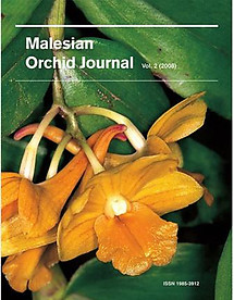 Malesian Orchid Journal Vol 2 (2008) - Jeffrey J. Wood (ed)