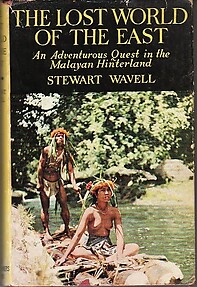 The Lost World of the East - Stewart Wavell