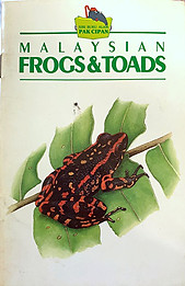 Malaysian Frogs & Toads - Kiew Bong Heang