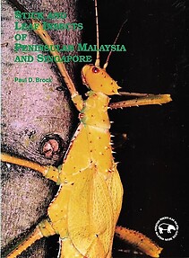 Stick and Leaf Insects of Peninsular Malaysia and Singapore - Paul D Brock
