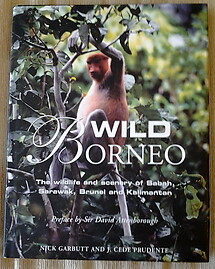 Wild Borneo The Wildlife and Scenery of Sabah, Sarawak, Brunei, and Kalimantan