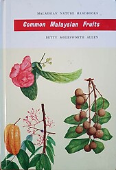 Common Malaysian Fruits - Betty Molesworth Allen