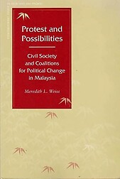 Protest and Possibilities - Meredith Weiss