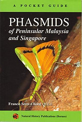 A Pocket Guide: Phasmids of Peninsular Malaysia and Singapore - F. Seow-Choen