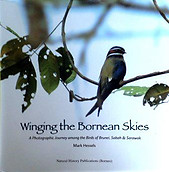 Winging the Bornean Skies: A Photographic Journey - Mark Hessels