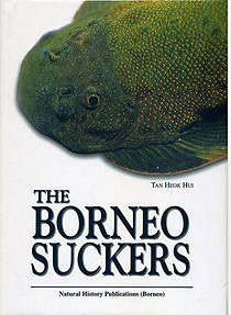 The Borneo Suckers: Revision of the Torrent Loaches of Borneo - Tan Heok Hui