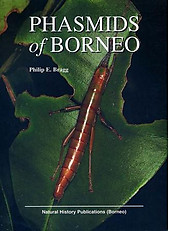 Phasmids of Borneo - Philip E Bragg
