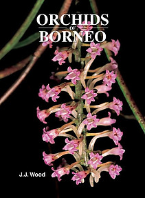 Orchids of Borneo- Volume 4 - JJ Wood
