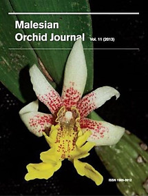 Malesian Orchid Journal Vol 11 (2013) - Andre Schuiteman (ed)