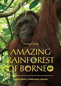 Amazing Rainforest of Borneo - Huang Yi-Feng