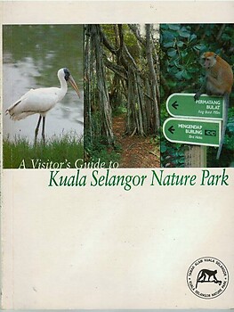 A Visitor's Guide to Kuala Selangor Nature Park