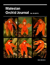 Malesian Orchid Journal Vol 20 (2017) - Andre Schuiteman (ed)