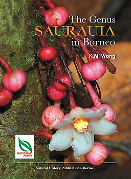 The Genus Saurauia in Borneo - Andre Schuiteman (ed)