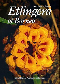 Etlingera of Borneo - Axel Dalberg Poulsen