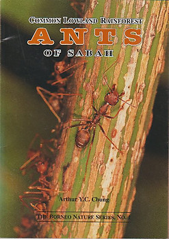 Common Lowland Rainforest Ants of Sabah - Arthur Y. C. Chung