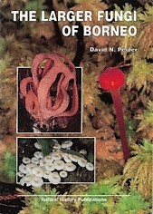 The Larger Fungi of Borneo - David Pegler