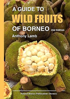 A Guide to Wild Fruits of Borneo - Anthony Lamb