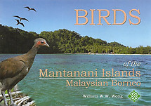 Birds of the Mantanani Islands, Malaysian Borneo - William WW Wong