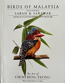 The Art Of Choo Beng Teong - Birds of Malaysia Including Sabah & Sarawak