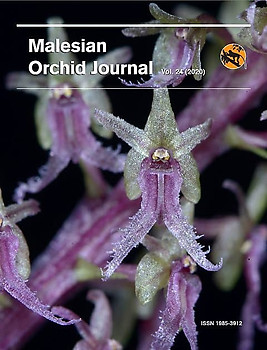 Malesian Orchid Journal Vol 24 (2020) - Andre Schuiteman (ed)