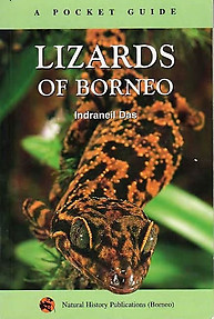 Lizards of Borneo - Indaneil Das