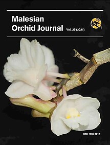 Malesian Orchid Journal Vol 25 (2021) - Andre Schuiteman (ed)
