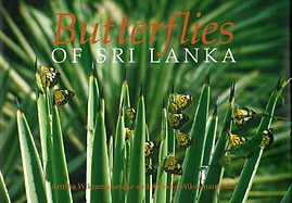 Butterflies of Sri Lanka - Arittha & Ariesha Wickramanayake
