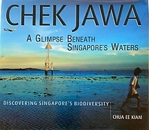 Chek Jawa: A Glimpse Beneath Singapore's Waters - Chua Ee Kiam
