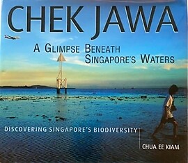 Chek Jawa: A Glimpse Beneath Singapore's Waters - Chua Ee Kiam