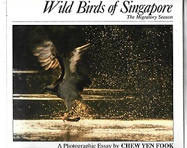 Wild Birds of Singapore: The Migratory Season - Chew Yen Fook