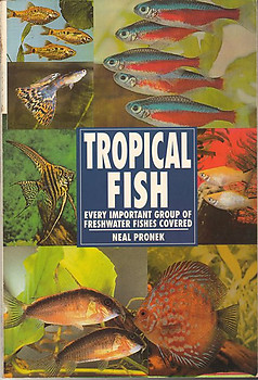 Tropical Fish - Neal Pronek