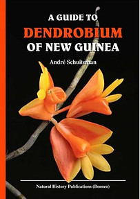 A Guide to the Dendrobium of New Guinea - Andre Schuiteman