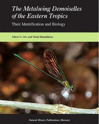 The Metalwing Demoiselles of the Eastern Tropics - Albert G. Orr & M. Hamalainen