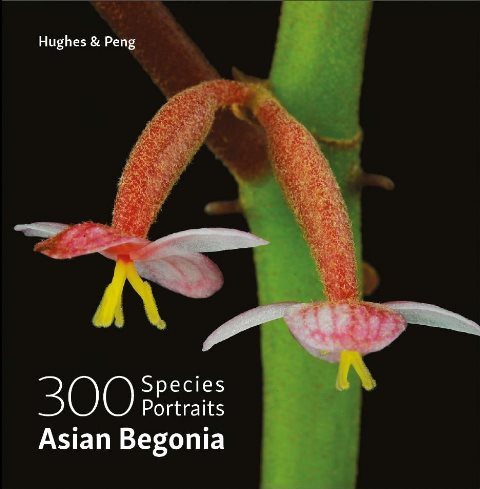 Asian Begonia: 300 Species Portraits -  Mark Hughes & Ching-I Peng