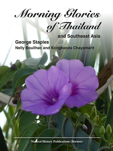 Morning Glories of Thailand and Southeast Asia - George Staples,  Kongkanda Chayamarit & Nelly Bouilhac