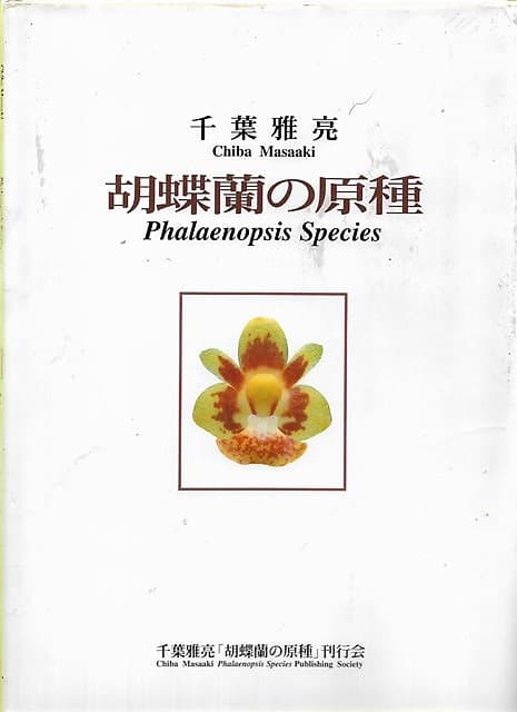 Phalaenopsis Species - Chiba Masaaki