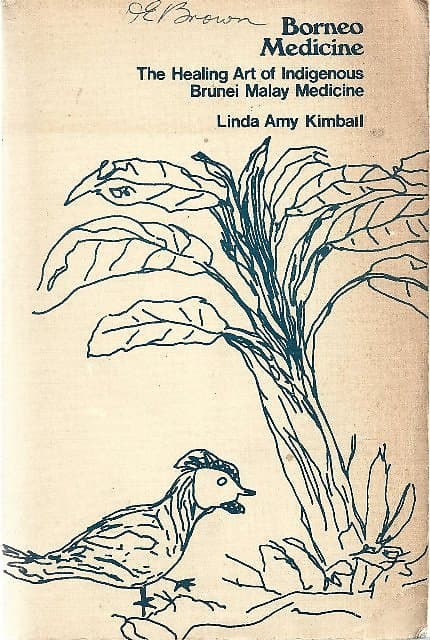 Borneo Medicine: The Healing Art of Indigenous Brunei Malay Medicine - Linda Amy Kimball