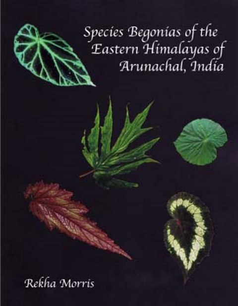 Species Begonias of the Eastern Himalayas of Arunachal, India - Rekha Morris