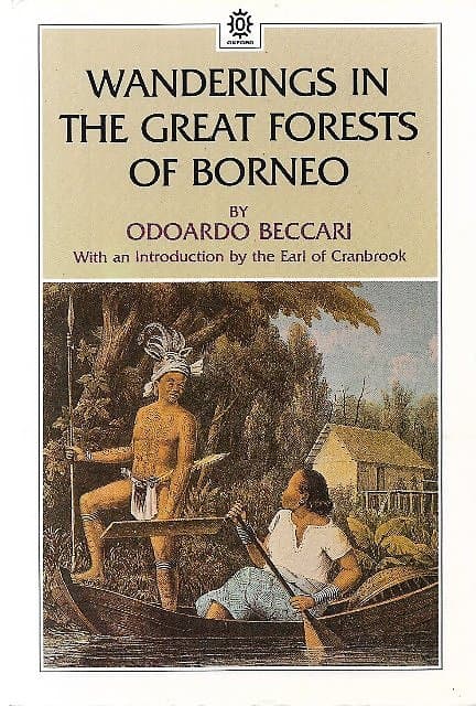 Wanderings in the Great Forests of Borneo -  Odoardo Beccari